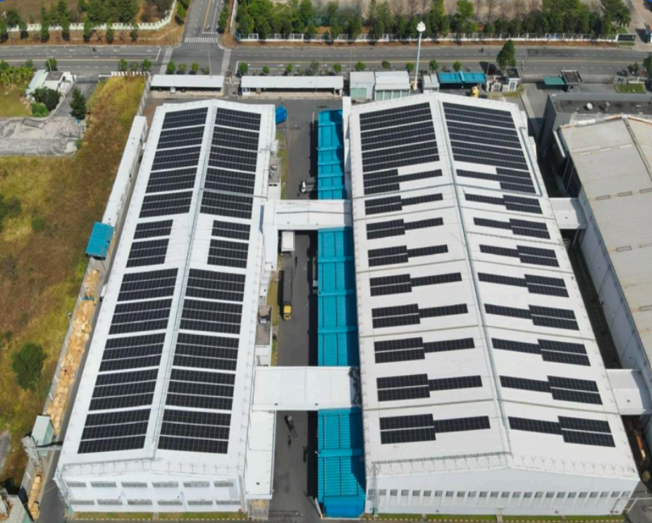 Solar White Feathers